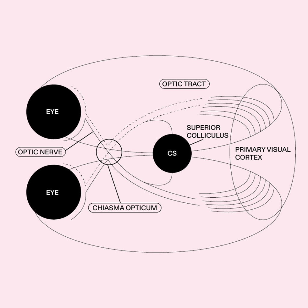 QUBUS-Blog: Das Buchprojekt Visual Feast von Lisa Eickelpasch