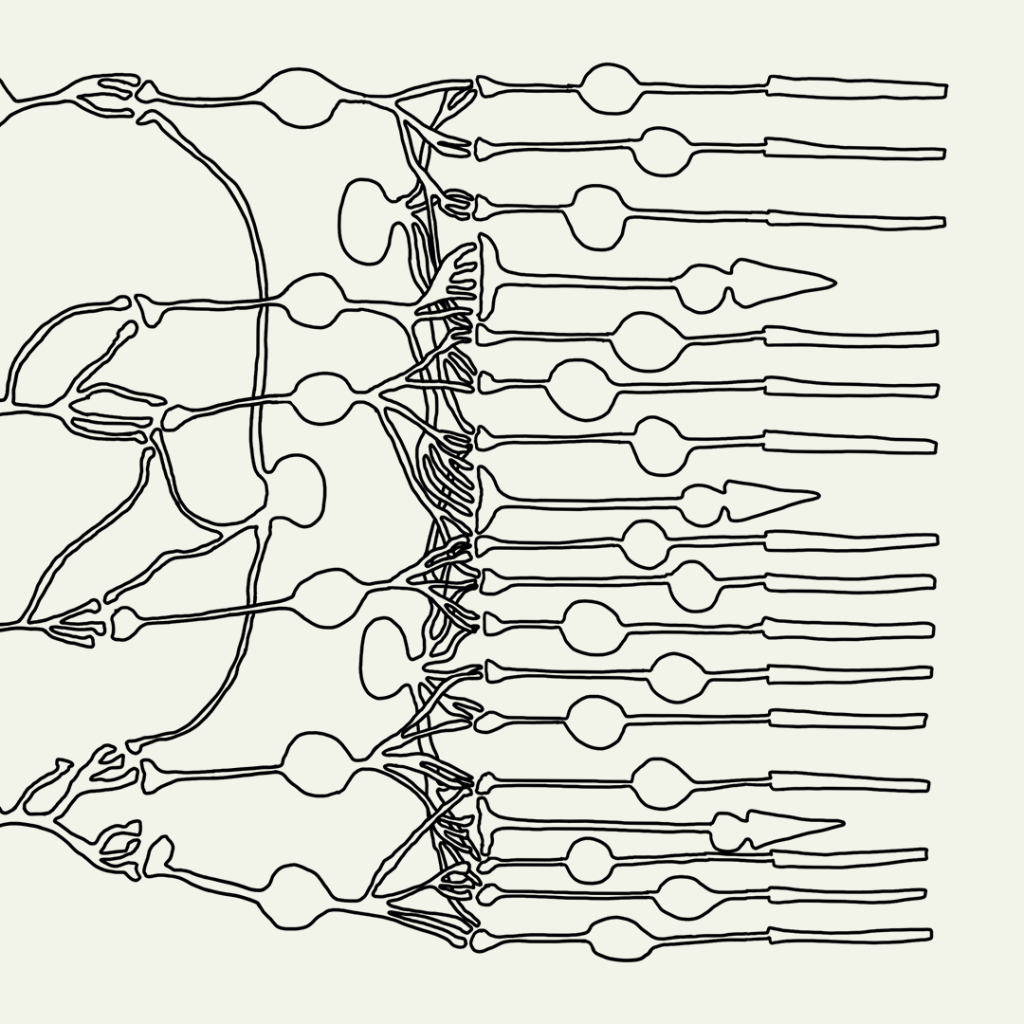 QUBUS-Blog: Das Buchprojekt Visual Feast von Lisa Eickelpasch